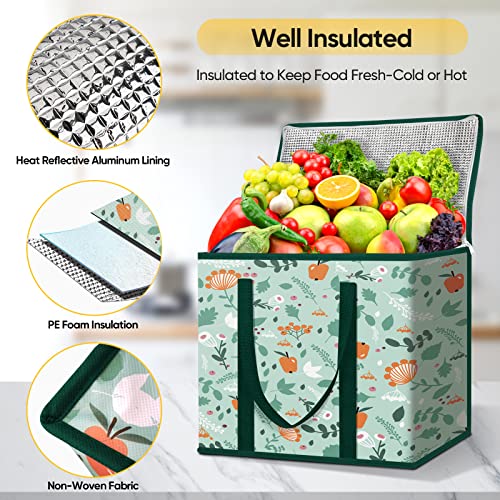 BALEINE 2Pk Insulated Reusable Grocery Bags for Spring Stroll
| BALEINE Collapsible Cooler Bag for GroceriesHeavy Duty